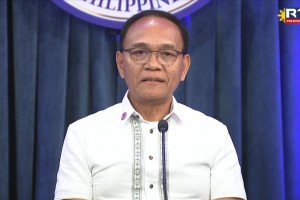 Rice supply stable despite El Niño – DA exec