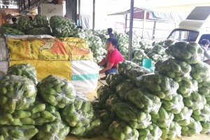 DA-CAR assures steady supply of ‘chopsuey’ veggies