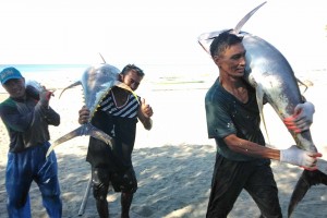 Mindoro town fishers make record tuna harvests via gov't tech aid