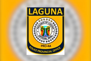 74 held for various crimes in Laguna dragnet