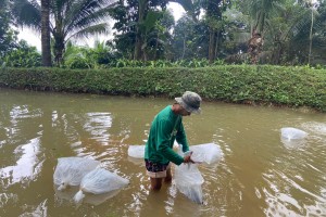 DA-NFRDI upholds continuous research for Filipino fishers