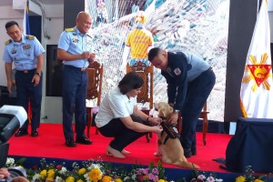 VP Sara honors heroism of rescue dog in Davao Oro landslide