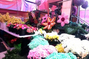 Panagbenga posts record-breaking float participants with 33