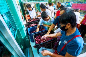  DA extends import ban on red onions in August amid stable supply