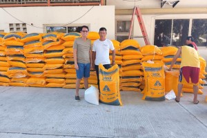 Ilocos Norte rice farmers receive fertilizer vouchers, veggie seeds