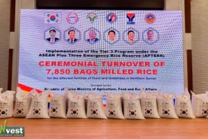 Asean Plus Three donates nearly 8K bags of rice to Northern Samar