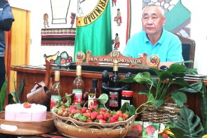 La Trinidad vies for more strawberry by-products