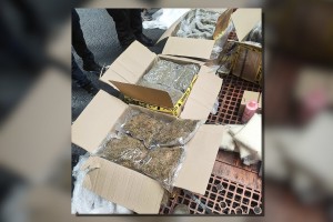 BOC finds P76-M kush inside balikbayan boxes at Manila port