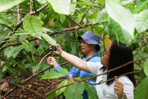 DA-Calabarzon expands tech program on land cultivation