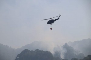 Gov’t to beef up response capabilities vs. forest fires