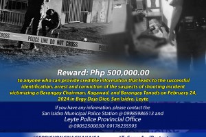 Cash reward awaits tipsters in killing of Leyte village officials