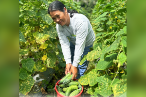 Agriboost program helps Butuan farmers increase yield