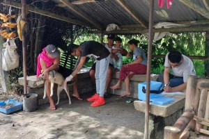 Antiqueños warned of rabies after 1 confirmed death 