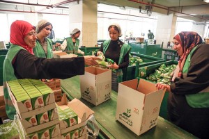 Egyptian Food Bank prepares food to alleviate hunger in Egypt, Gaza