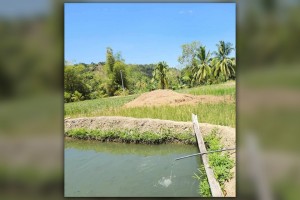 DA to provide technical assistance for 'BINHI' project in Antique