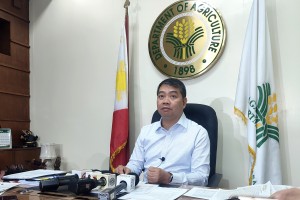 DA: NFA must prioritize disaster agencies in rice buffer stock sale