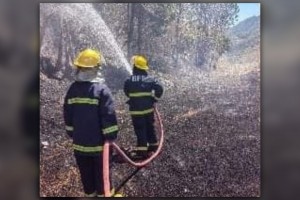 Forest fires destroy 116 ha of greening program in 6 Antique towns