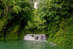 Samar Nature Park on tentative list of UNESCO World Heritage Site