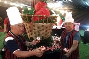Strawberries remain top La Trinidad tourist magnet