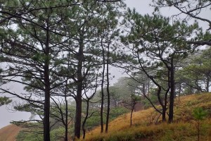 Ilocos Norte LGU bans visitors to Mt. Lammin to prevent grassfires