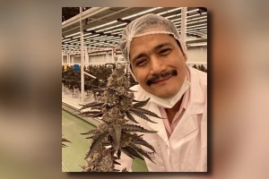 Padilla's medical cannabis bill reaches Senate plenary