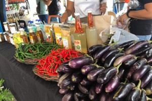 Negros Occidental sets monthly ‘Kadiwa ng Pangulo’ markets