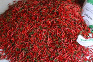 South Korea, Taiwan increase inspection on imported chili