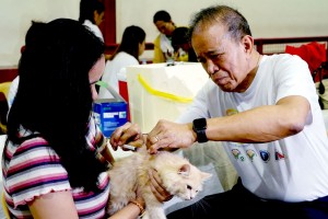 Avail of free anti-rabies shots for pets, DA urges owners