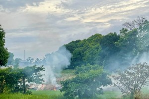 Task group formed in Ilocos Norte to prevent forest fires