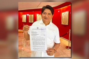 Gadon asks Congress to consider political amendments to Constitution