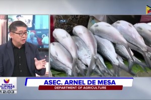 DA open for talks, appeals as frozen fish import suspension looms