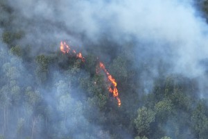 More wildfires reported in Negros Oriental