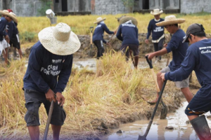 DSWD eyes rollout of ‘Project LAWA at BINHI’ in 310 towns amid El Niño