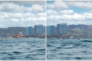 'Sardinella surface run' indicates improved Cebu City marine habitat