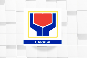 29 ex-rebels, residents in Caraga get financial aid from gov’t