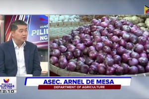 DA assures aid for Mindoro onion farmers as farm-gate price drops