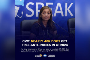 Almost 40K dogs get free anti-rabies shots in Davao CVO