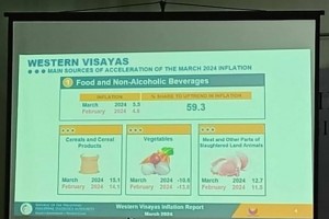 Western Visayas inflation rate accelerates to 3.1 % in March