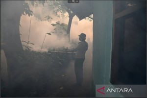 Dengue fever deaths in Indonesia up 179%