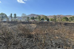 Grassfires hit Palawan amid intense heat