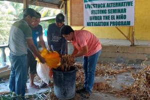 4 N. Cotabato towns under state of calamity, crop damage at P650-M