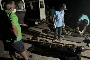 High-ranking NPA leader, member killed in Iloilo town clash