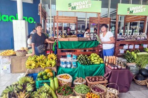 Camarines Sur farmers earn more via direct marketing schemes