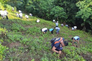 PENRO calls for volunteers in tree-growing activities in Pangasinan