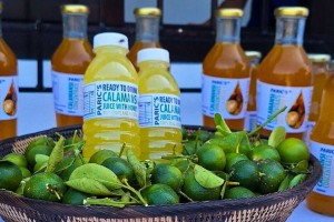 Mindoro 'calamansi' industry gets major funding from Korean agency