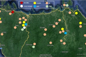 Northern Samar eyes investments in coco processing