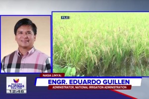 NIA: Farmers must capture value added in palay via contract farming