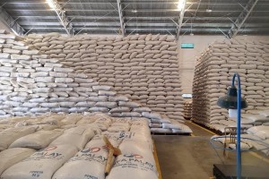 NFA-Ilocos Norte secures stockpile for rainy days