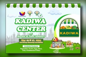 BPI to sell P29/kg rice, cheaper goods at Manila Kadiwa site May 16-17