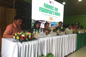 Continuing gov’t support improves lives of Cordillera farmers